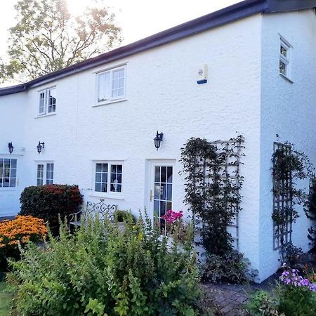 Rhos Y Bel Cottage Angelsey Llangadwaladr  외부 사진