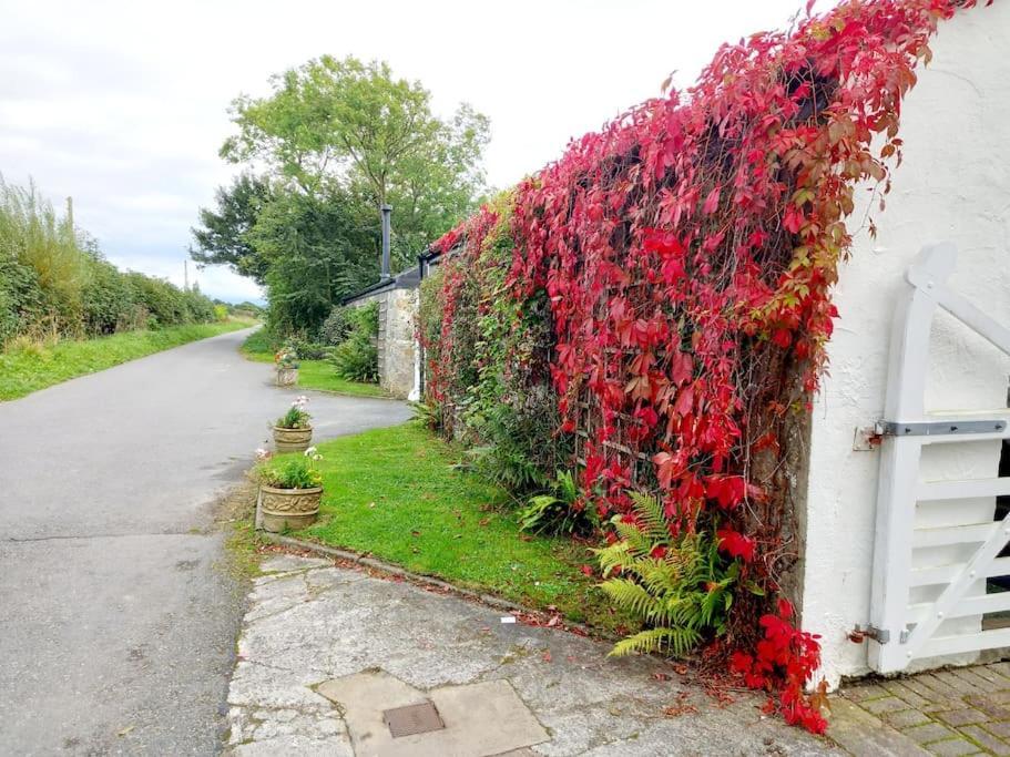 Rhos Y Bel Cottage Angelsey Llangadwaladr  외부 사진