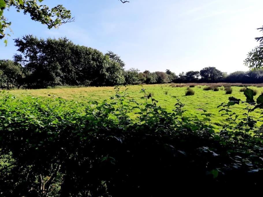Rhos Y Bel Cottage Angelsey Llangadwaladr  외부 사진
