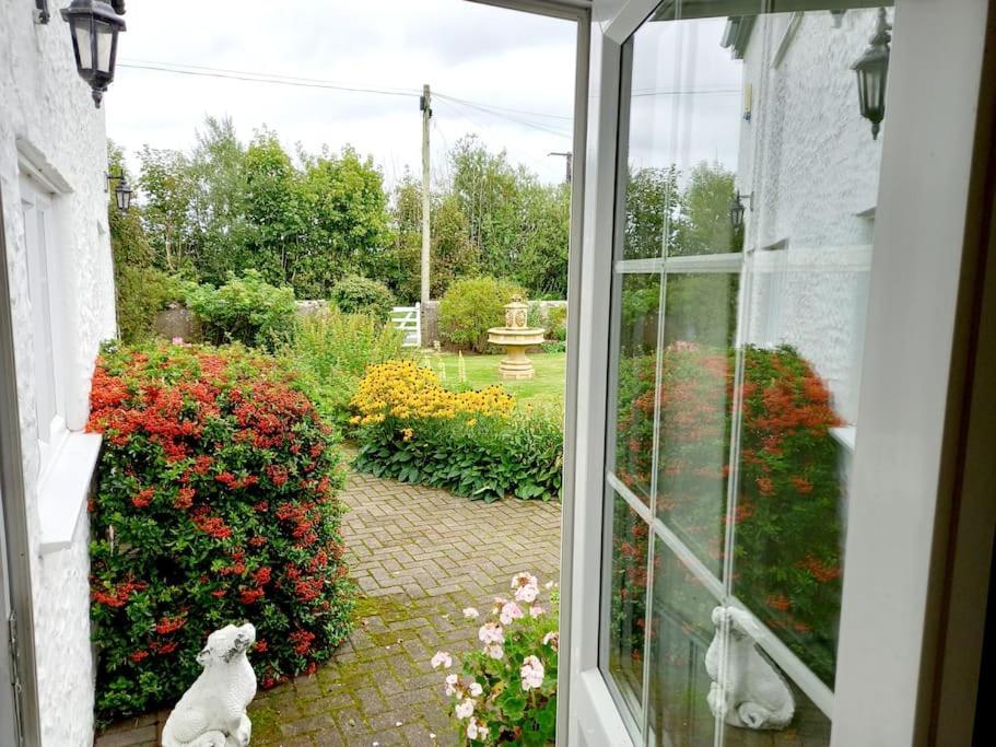 Rhos Y Bel Cottage Angelsey Llangadwaladr  외부 사진